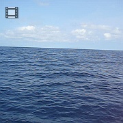 Picture 042